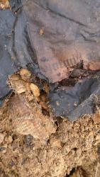 post-24203-0-98243100-1428332420_thumb.j