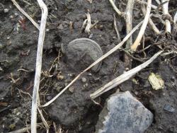 post-27646-0-40656500-1430133137_thumb.j