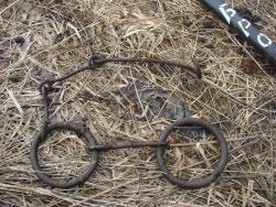 post-27646-0-42012700-1430131007_thumb.j