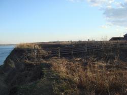 post-27646-0-42167900-1430132898_thumb.j