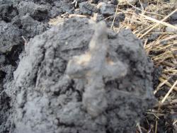 post-27646-0-70011600-1429125366_thumb.j