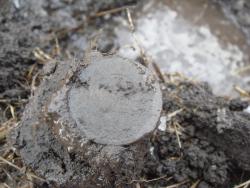 post-27646-0-91068300-1429204683_thumb.j