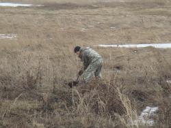 post-27646-0-97502800-1429125594_thumb.j