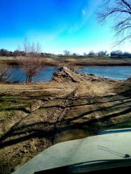 post-28025-0-31992200-1430128169_thumb.j