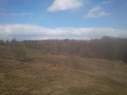 post-29541-0-94525900-1429543708_thumb.j