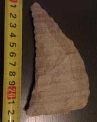 post-29559-0-49485200-1428475441_thumb.j