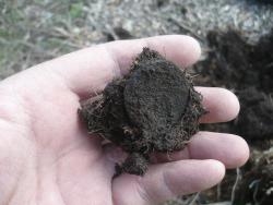 post-29871-0-16510200-1430411427_thumb.j