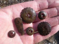 post-29871-0-26398800-1429272662_thumb.j