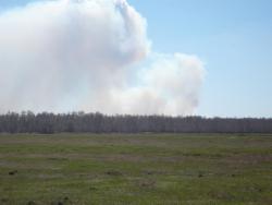 post-29871-0-43444100-1430142893_thumb.j