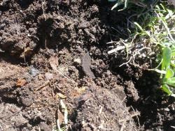 post-29871-0-68913200-1430142680_thumb.j