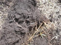 post-29871-0-84971200-1430411407_thumb.j