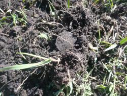 post-29871-0-87279800-1430143076_thumb.j