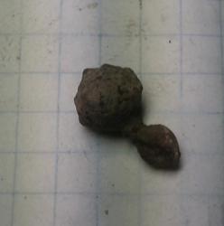 post-31912-0-19256200-1430154957_thumb.j