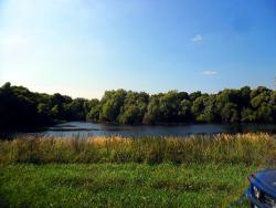 post-32197-0-24411800-1428222868_thumb.j