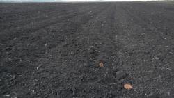 post-32197-0-49965000-1428223135_thumb.j