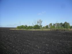 post-32197-0-73697600-1428222292_thumb.j