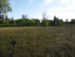 post-32197-0-81640400-1428222663_thumb.j