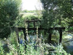 post-32197-0-82453500-1428222501_thumb.j