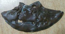 post-32259-0-60064700-1430167320_thumb.j