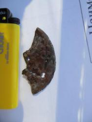 post-32259-0-60453800-1430128220_thumb.j