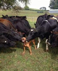 post-32585-0-45590800-1429427197_thumb.j