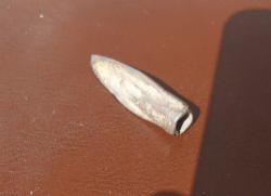 post-32725-0-38742900-1427964109_thumb.j