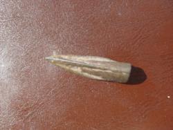 post-32725-0-49721800-1427964098_thumb.j