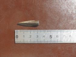 post-32725-0-50419900-1427964157_thumb.j