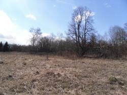 post-32874-0-07038000-1429474730_thumb.j