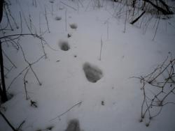 post-32874-0-09728300-1428431213_thumb.j