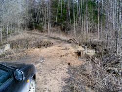 post-32874-0-12550700-1429341383_thumb.j