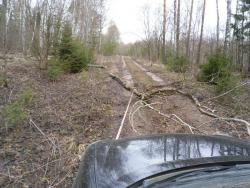 post-32874-0-23228700-1429342783_thumb.j