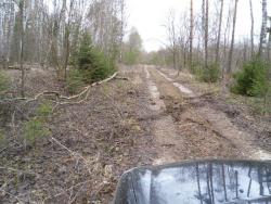 post-32874-0-25065200-1429342878_thumb.j