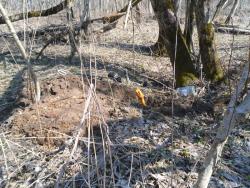 post-32874-0-35525100-1429046146_thumb.j