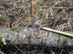 post-32874-0-53074900-1429342053_thumb.j