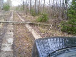 post-32874-0-54787900-1429342605_thumb.j