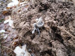 post-32874-0-63420800-1428431855_thumb.j