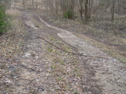 post-32874-0-69222600-1429342974_thumb.j