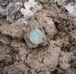 post-32874-0-76087600-1428432340_thumb.j