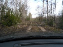 post-32874-0-76167400-1429341809_thumb.j