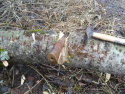 post-32874-0-90601000-1429342273_thumb.j