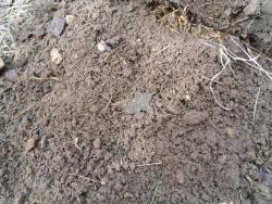 post-32874-0-91333200-1429345062_thumb.j