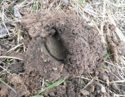 post-32874-0-92542900-1429345309_thumb.j