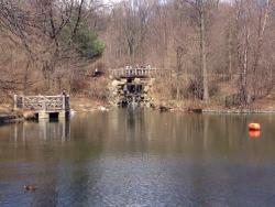 post-33129-0-26360300-1429624586_thumb.j