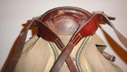 post-33181-0-79413900-1429970073_thumb.j