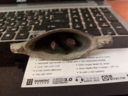 post-33353-0-71472500-1428783275_thumb.j