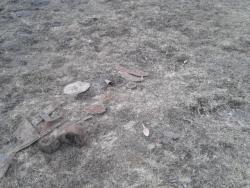 post-33499-0-01492600-1428408156_thumb.j