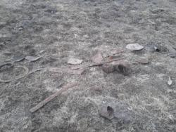 post-33499-0-06762400-1428408174_thumb.j