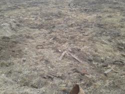 post-33499-0-43955000-1428408427_thumb.j