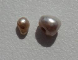 post-33499-0-92829100-1430304700_thumb.j